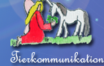 Erfahrung mit Tierkommunikation